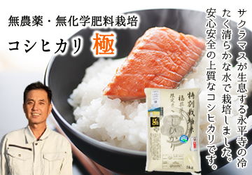 無農薬・無化学肥料 コシヒカリ 極