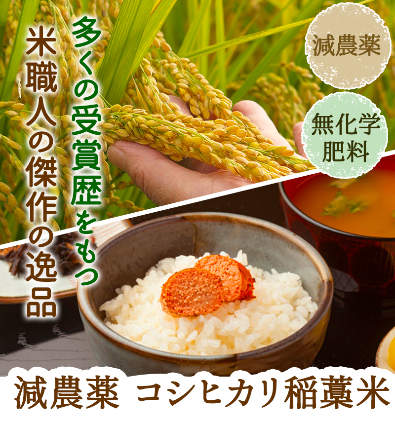 減農薬コシヒカリ稲藁米