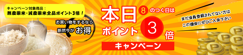 無農薬・無化学肥料栽培ミルキークイーン匠の田んぼ 7月16日