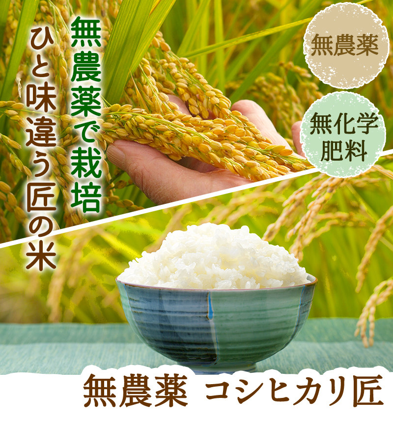 最も優遇の 新米 白米 特別栽培米ミルキークイーン２ｋｇ有機肥料減農薬栽培