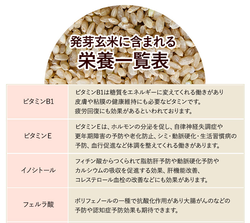 発芽玄米 無農薬・無化学肥料 つや姫 宮城令和4年産 特別栽培米 真空