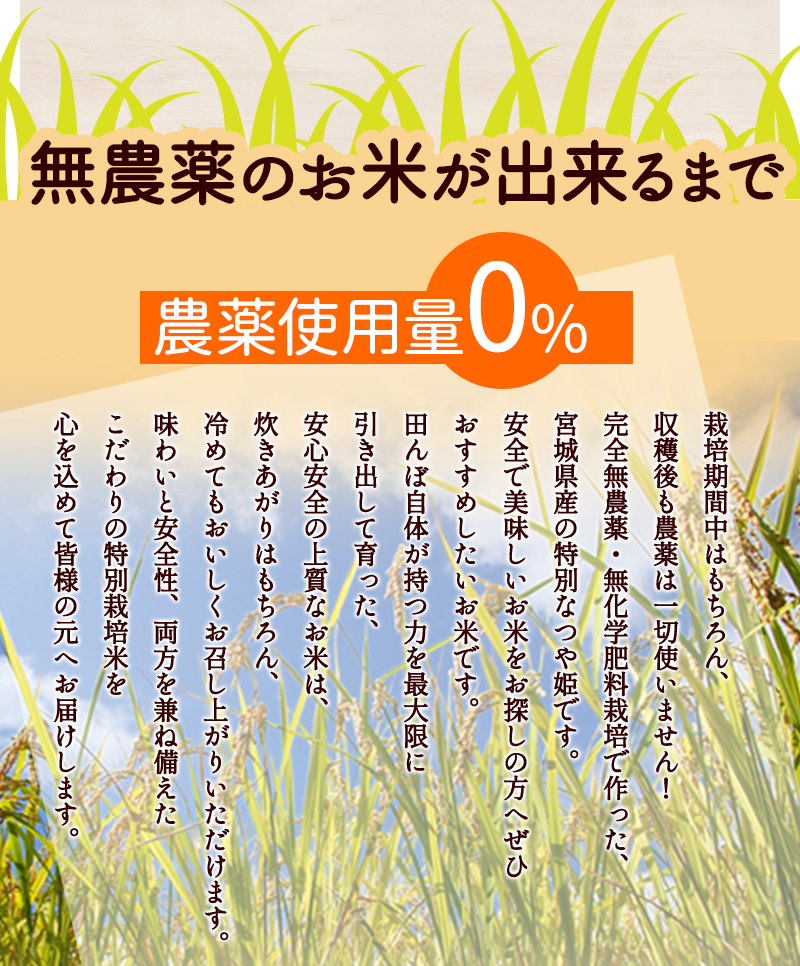 無農薬・無化学肥料栽培 つや姫 令和5年宮城県産 特別栽培米 ※上品な