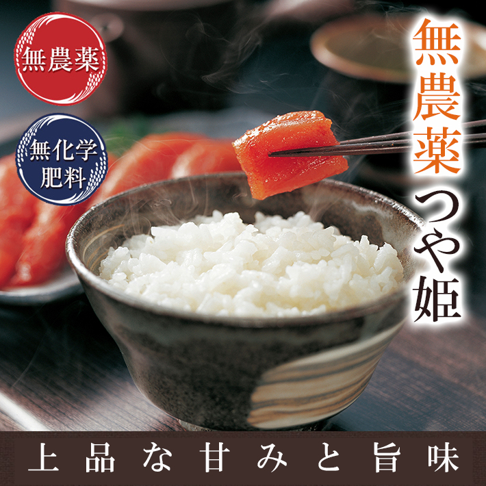 宮城県産　20kg　【玄米】　つや姫　無化学肥料　生命あふれる田んぼのお米　令和5年産-