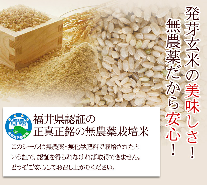 発芽玄米 無農薬・無化学肥料 コシヒカリ「特選」福井県令和3年産新米