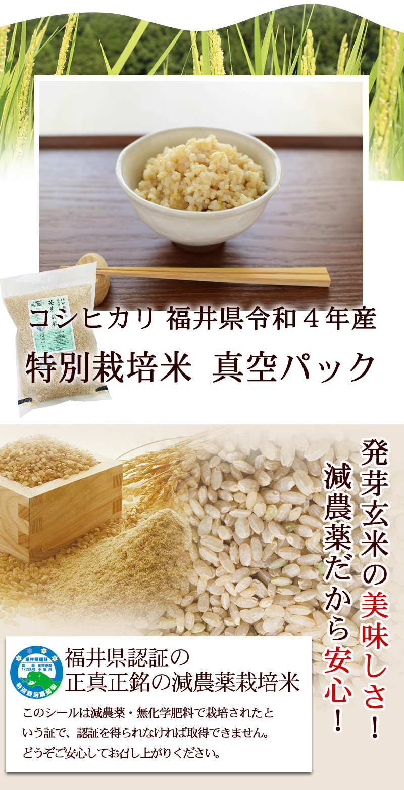 発芽玄米 減農薬・無化学肥料 コシヒカリ福井県令和4年産 特別栽培米 真空パック 福井県認証の正真正銘の減農薬栽培米