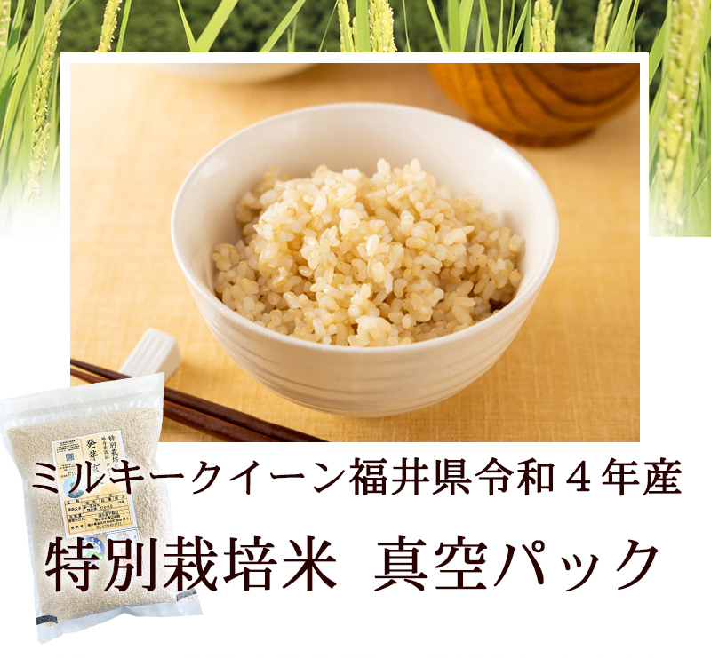 令和3年産 新米 無農薬栽培米 ミルキークイーン 玄米 2kg３個