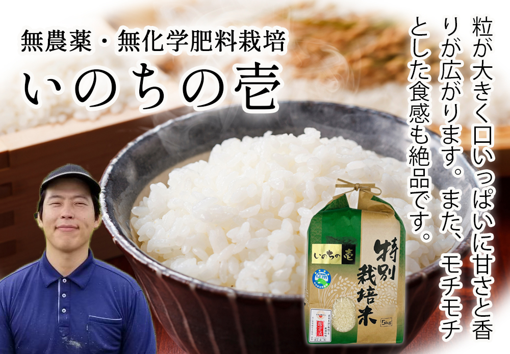 ふくい味覚倶楽部 | 無農薬米と無農薬の玄米とミルキークイーンの専門店