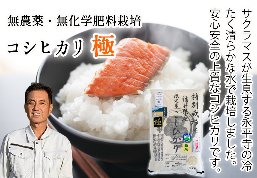 ふくい味覚倶楽部 | 無農薬米と無農薬の玄米とミルキークイーンの専門店