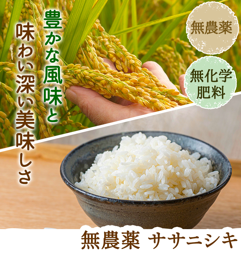 令和5年度ササニシキ無農薬無施肥米10kg南阿蘇産-