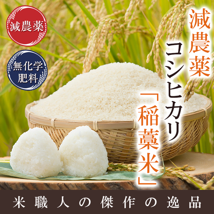 新米コシヒカリ福井県産の令和５年産　減農薬　有機栽培　玄米25kg