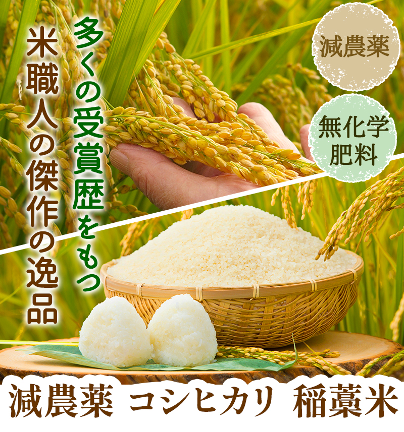 減農薬コシヒカリ稲藁米