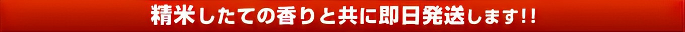 精米したてのあたたかいままを即日発送します