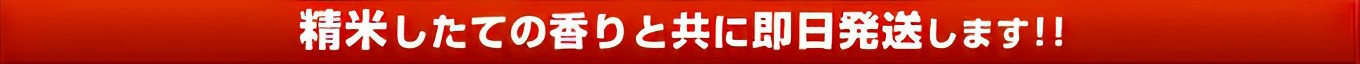 精米したてのあたたかいままを即日発送します