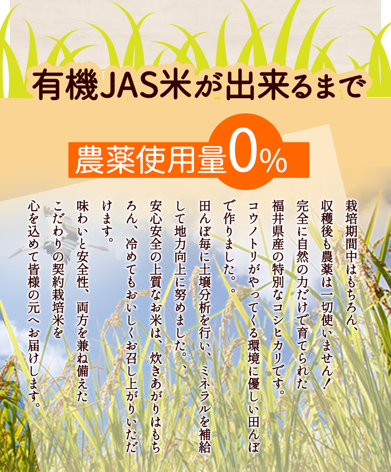 有機JAS米ができるまで