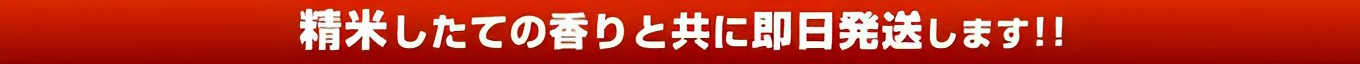 精米したての香りと共に即日発送します