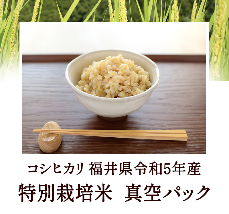 病気を減らせる米づくり　発芽用玄米10kg　５年産コシヒカリ　特栽①農薬等不使用