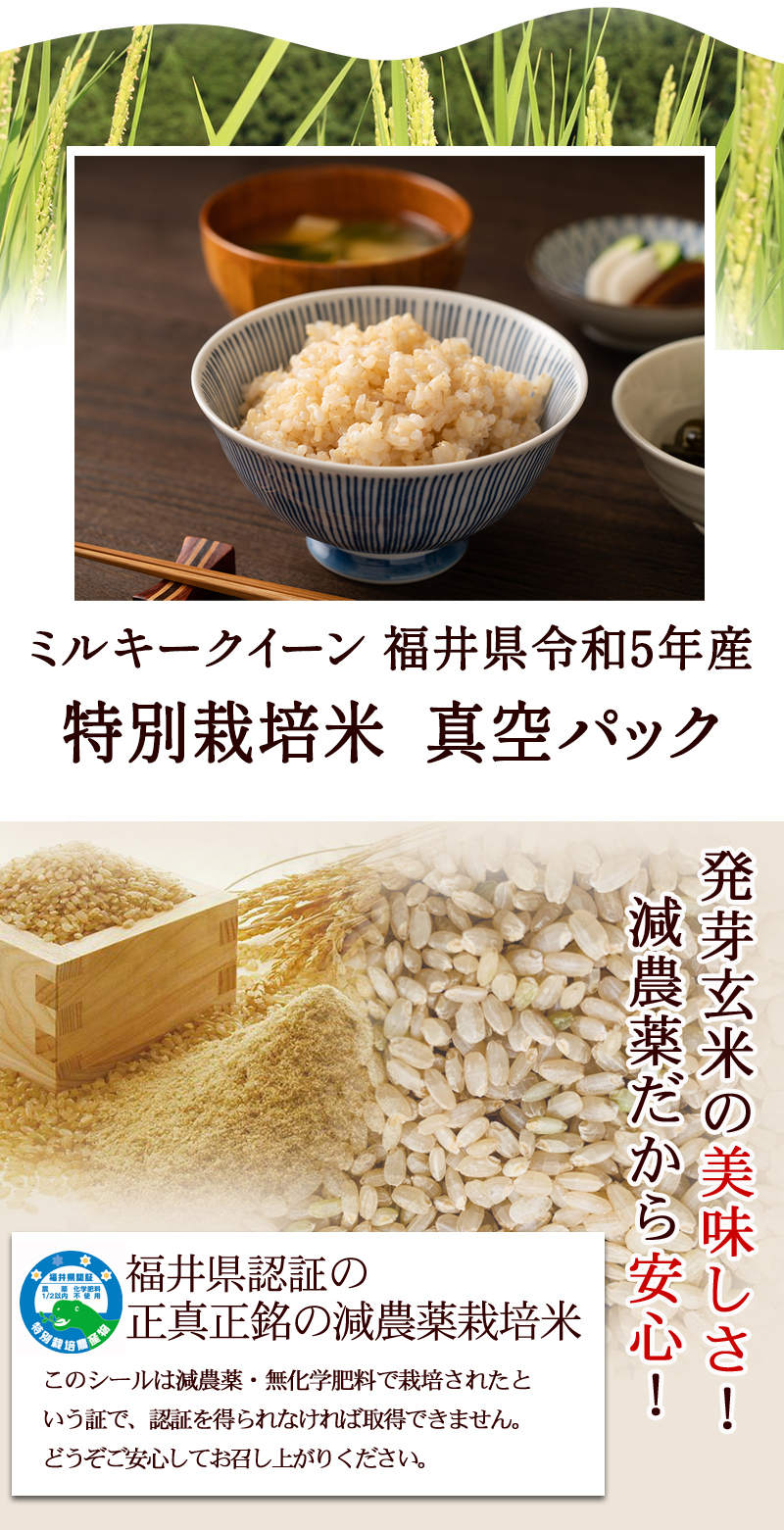 発芽玄米 減農薬・無化学肥料 ミルキークイーン 福井県令和5年産 特別栽培米 真空パック 福井県認証の正真正銘の無農薬栽培米