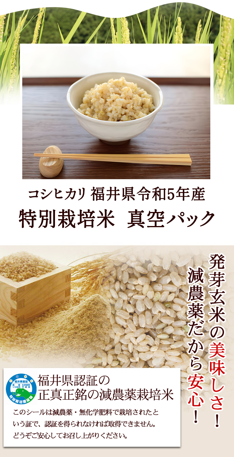 発芽玄米 減農薬・無化学肥料 コシヒカリ福井県令和5年産 特別栽培米 真空パック 福井県認証の正真正銘の減農薬栽培米