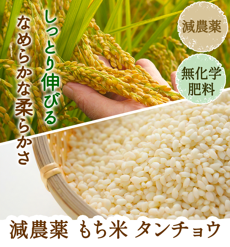 もち米 タンチョウ 特別栽培米