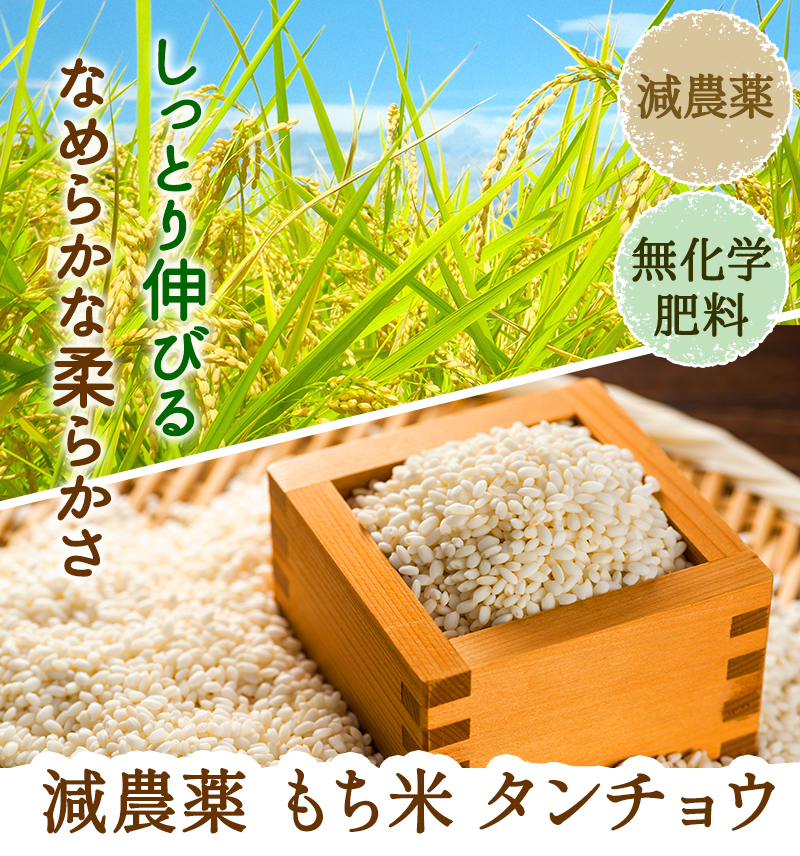 減農薬 タンチョウ もち米