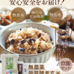 hatugakouso-1