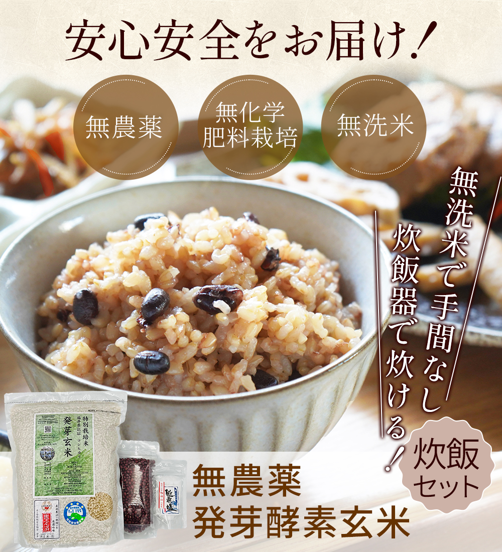 hatugakouso-1