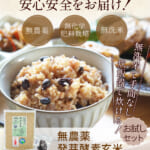 hatugakouso-3