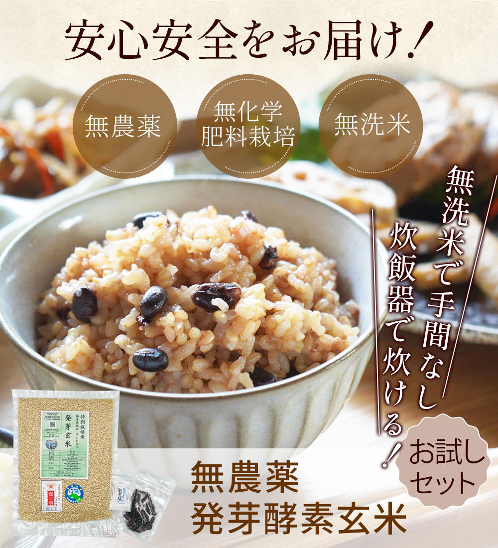 hatugakouso-3