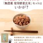 hatugakouso-3