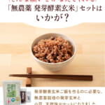 hatugakouso-1