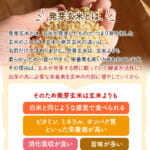 hatugakouso-3