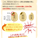hatugakouso-3