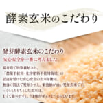 hatugakouso-3