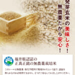 hatugakouso-3