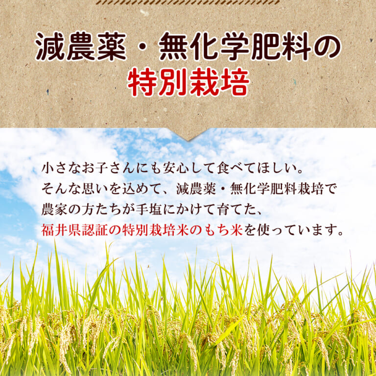 motiko