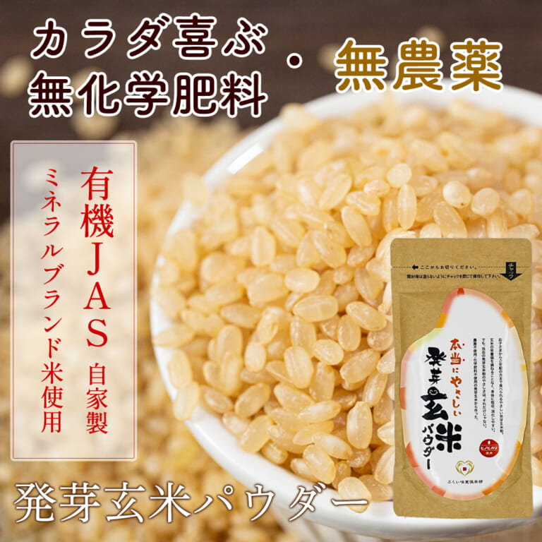 hatugagenmaiko1