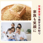 hatugagenmaiko1