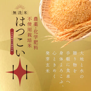 hatukoi