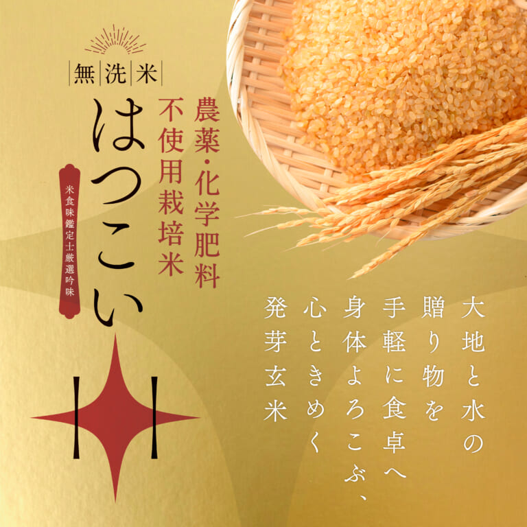 hatukoi