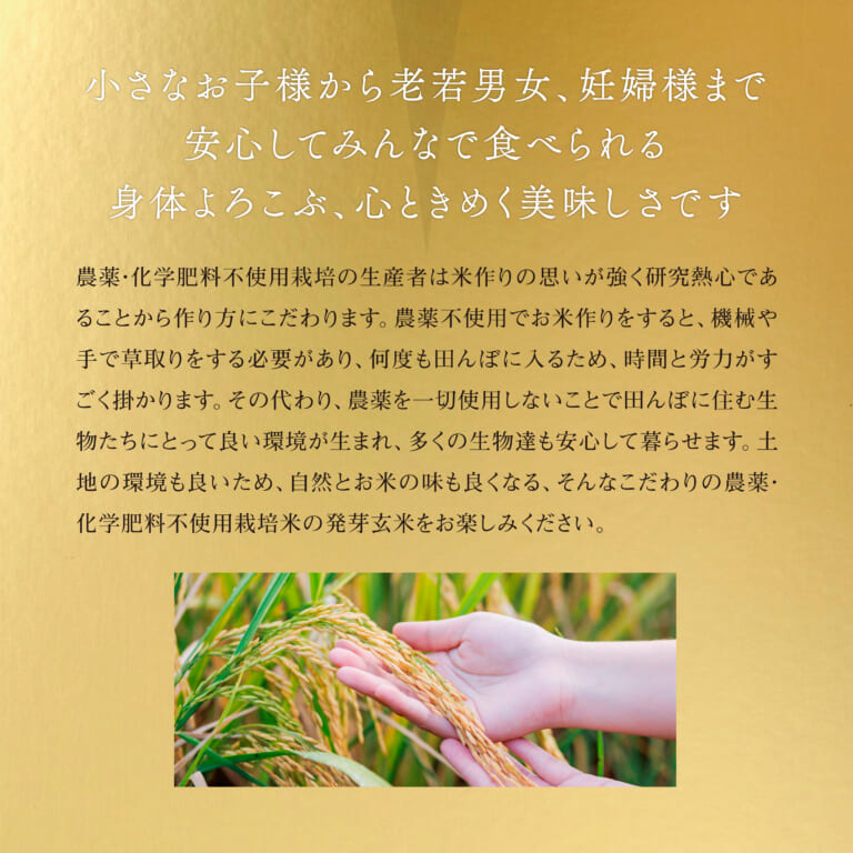 hatukoi