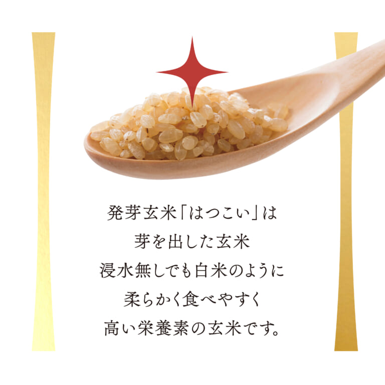 hatukoi