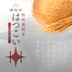 hatukoi2