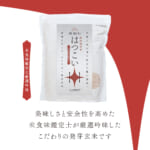 hatukoi2