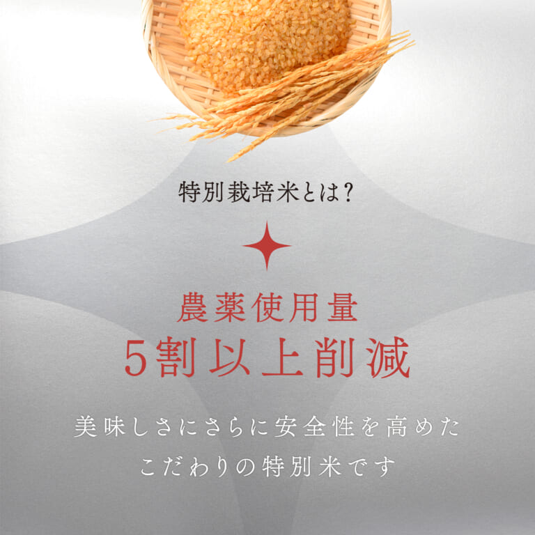 hatukoi2