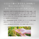 hatukoi2