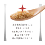 hatukoi2