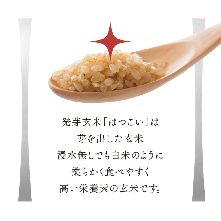 hatukoi2