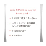 hatukoi2