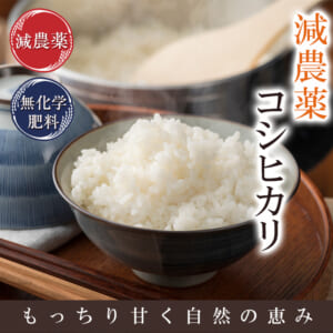genkosi