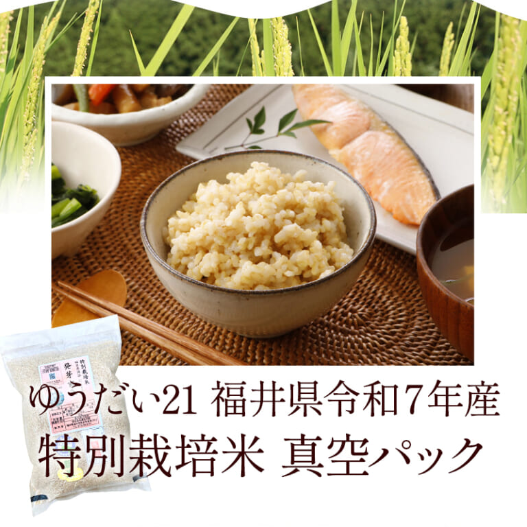 ha-yu21